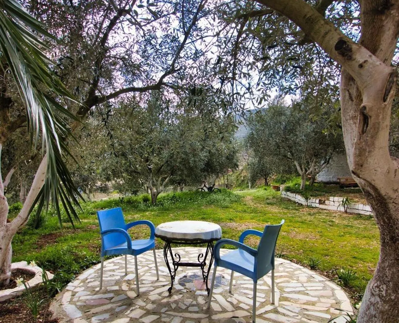 The Olives Lazarat Otel Arnavutluk